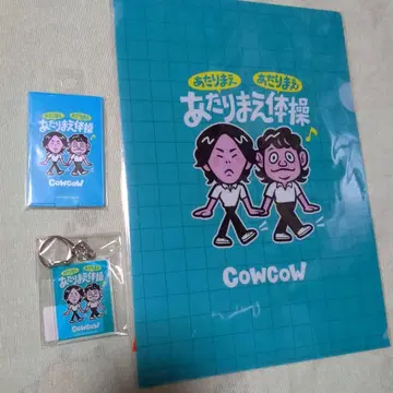 COWCOW 클리어 파일 미니 거울 아크릴 키링