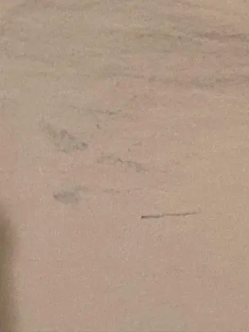 하자 있음 트레이딩 카드 포함 RUNSEOKJIN V넥 블루 셔츠