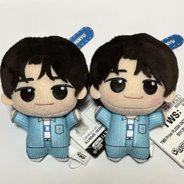 TWS 투어스 시뉴 SD 인형 2개