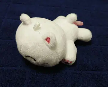 함께 외출하는 nqrse 고양이 마스코트