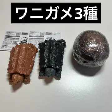 생물대도감 악어거북 3종