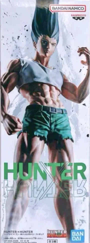 HUNTER x HUNTER 피그라이프 곤 헌터헌터