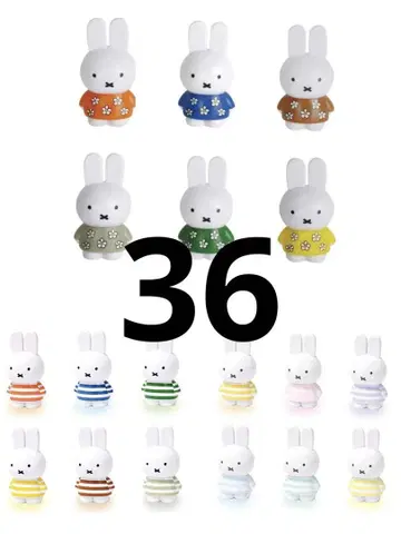 미피 테트라피비츠 꽃무늬 보더 총 36개