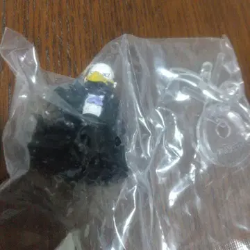 원피스의 열매 까마귀