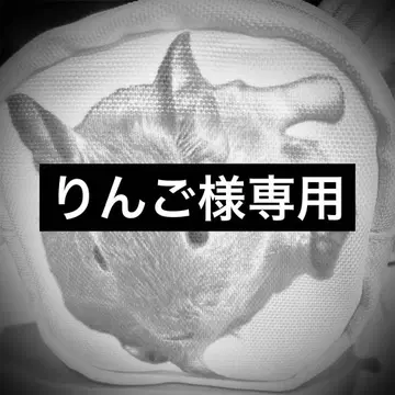 오더 파우치