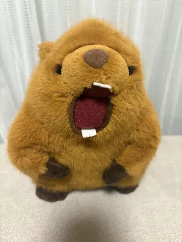 마모트 봉제 인형 음성 봉제 인형