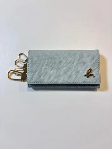 agnes b. 라이트 블루 키케이스