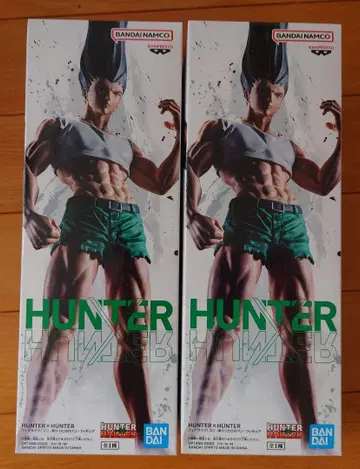 HUNTER x HUNTER 곤 피규어 2체 세트
