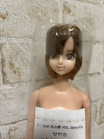 리카짱 캐슬 사야카 제니프렌드 오타노시미 인형