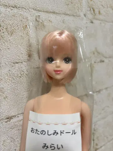 리카짱 캐슬 미라이 제니 프렌드 오타노시미 인형