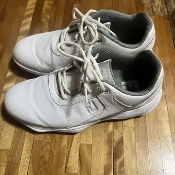 풋조이 골프화 남성용