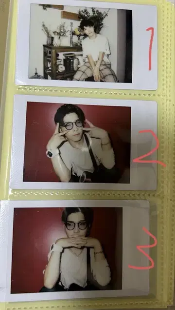 아나타샤 하넬 폴라로이드 50장