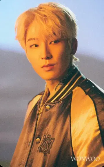 SEVENTEEN HMV WONWOO FACE THE SUN