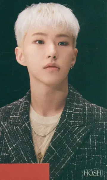 세븐틴 HMV HOSHI FACE THE SUN