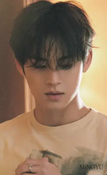 세븐틴 HMV LD MINGYU FACE THE SUN