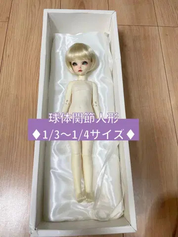 해외 인형 [상세 불명] 1/3~1/4 사이즈
