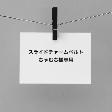 슬라이드 참 벨트