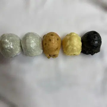 생물 대도감 가챠가챠 육지거북 5세트