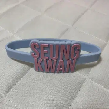 seventeen 성광 응원봉 액세서리
