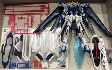 HG 라이징 프리덤