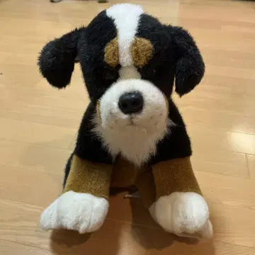 봉제 인형 개 귀여운