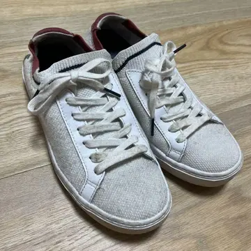 LACOSTE 화이트 스니커즈 여성용