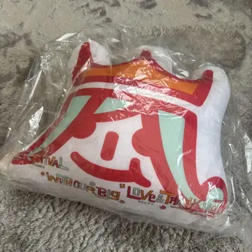 아라시 아라페스 쿠션