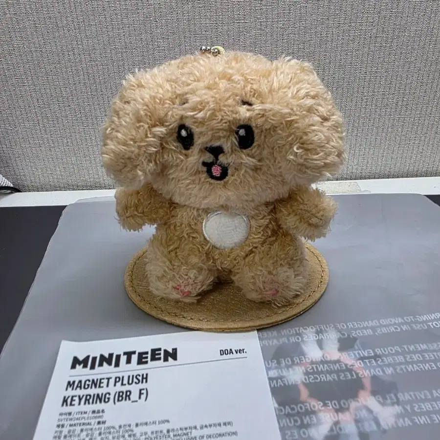 SEVENTEEN MINITEEN DOA ドア マグネットキーリング SEVENTEEN