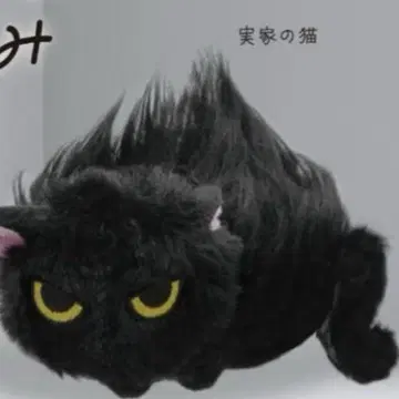 나츠카이 고양이 봉제 인형 가챠 본가의 고양이 키링
