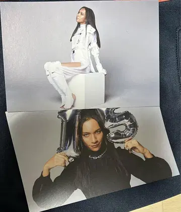 여왕벌 아브 엽서