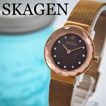 81 SKAGEN 시계 컷 글라스 브라운 쉘 여성용 골드