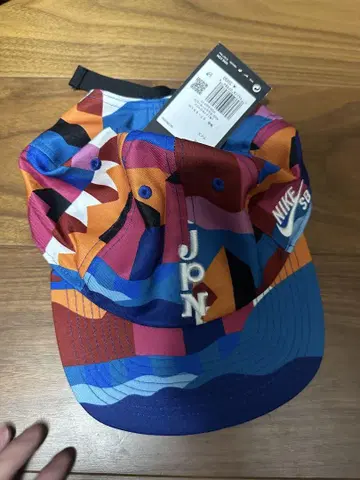 Nike 멀티 컬러 야구 모자 JPN