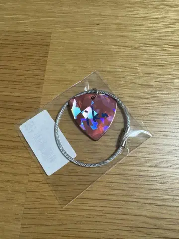 이쿠타 에리카 피크 키링