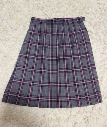 클라크 고등학교 여성용 스커트