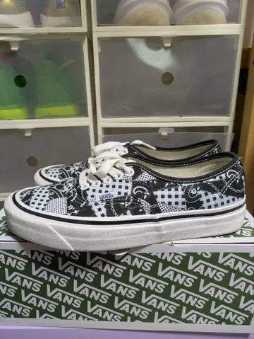 VANS x WP AUTHENTIC 44D 25.0cm
