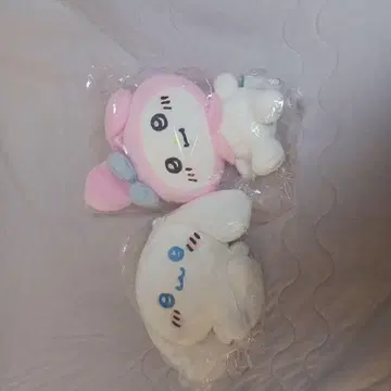 나가노 마켓 x 산리오 시나몬롤과 마이멜로디