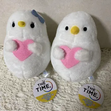 시마연가 짱 가족 더 타임 TBS