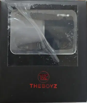 THE BOYZ 도보이즈 라이트 키링