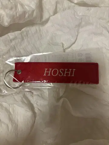 SEVENTEEN FOLLOW FLIGHTTAG KEYRING HOSHI