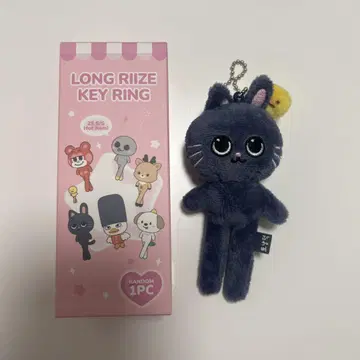 RIIZE 원빈 WE LITTLE RIIZE POPUP 키링