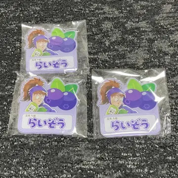 닌자 타마 란타로 스이파라 네임 배지 후와 레이조 3종