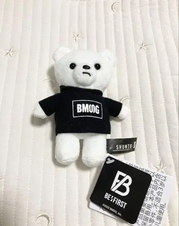 [익명 배송] BE:FIRST SHUNTO 곰 봉제 인형