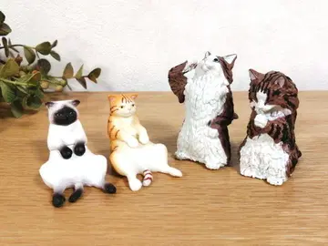 고양이 4마리