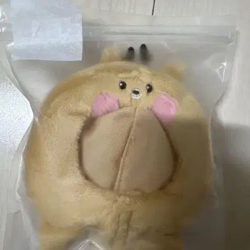 riize 성찬 응원봉 커버
