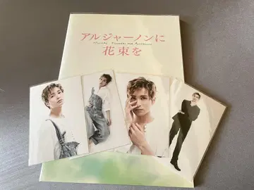 뮤지컬 알저논에게 꽃다발을 팜플렛
