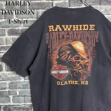 HARLEY-DAVIDSON 티셔츠 빅 로고 스컬 디자인
