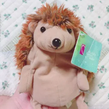 [ 내일 발송 가능 ] 고슴도치 봉제 인형 [ 가격 인하 가능 ]