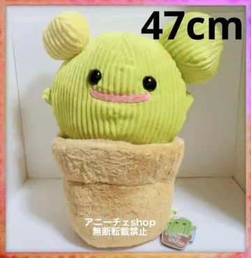 사보린 사보룬 울트라 BIG 봉제 인형 사보루노