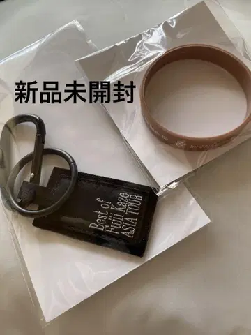 Fujii Kaze 아시아 투어 서울 한정판 키링과 러버 밴드