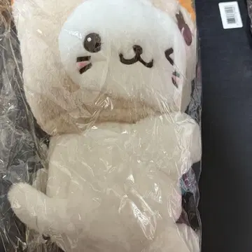 NCT WISH 서울 콘서트 응원봉 백 유우시
